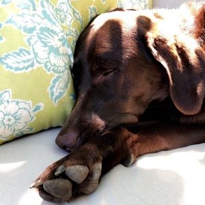 Meet your Posher, Elly